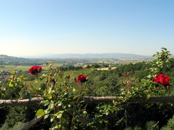 Castel D'Arno Guest House Perugia Luaran gambar