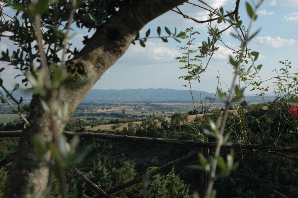 Castel D'Arno Guest House Perugia Luaran gambar